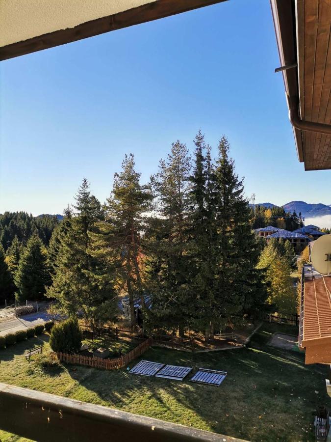 Forest Home 524 Смолян Екстер'єр фото